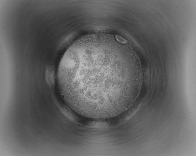 X0000115820644200911201446