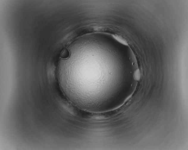 X0000115820650200911201446