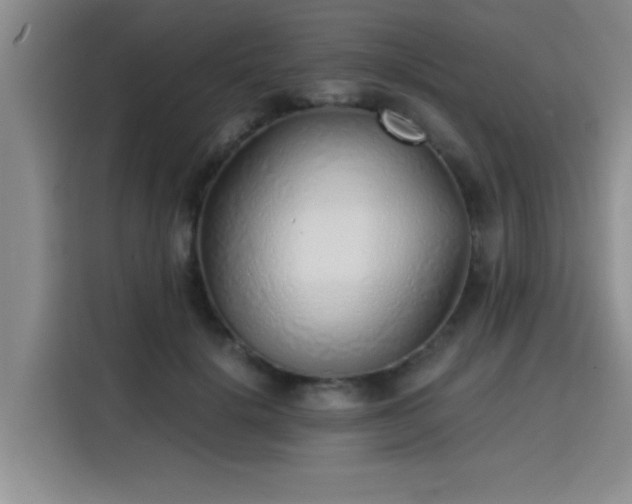 X0000115820652200911201446