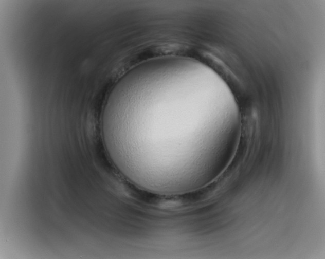 X0000115820653200911201446