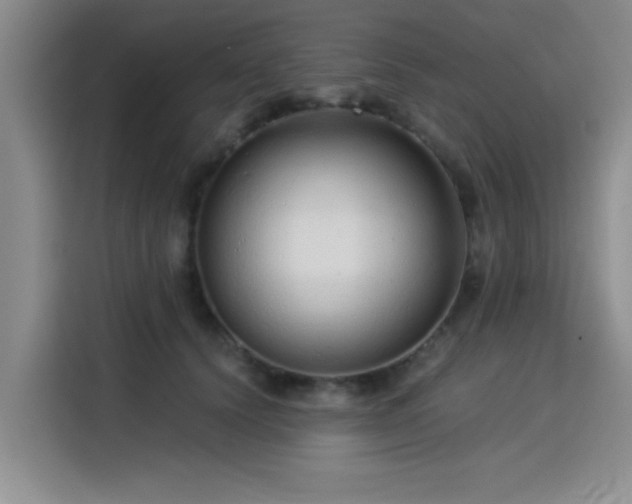 X0000115820656200911201446