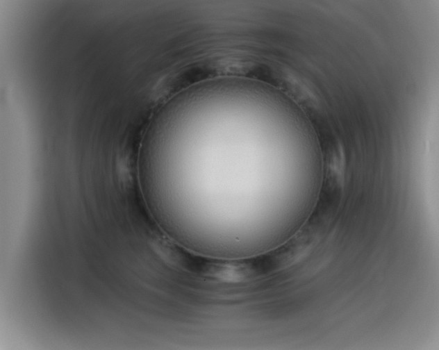 X0000115820663200911201446