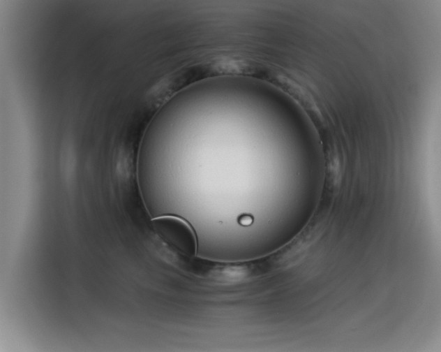 X0000115820665200911201446