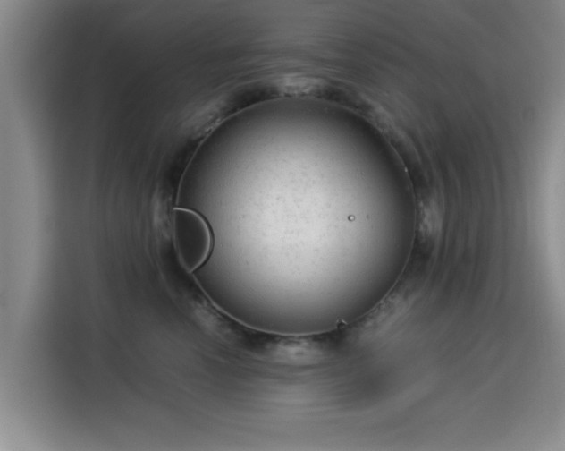 X0000115820666200911201446