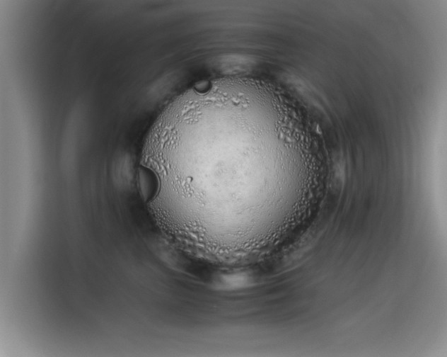 X0000115820667200911201446