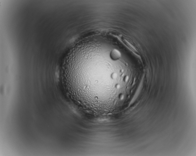 X0000115820668200911201446