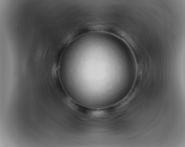 X0000115820669200911201446