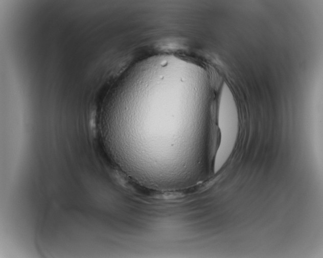 X0000115820670200911201446