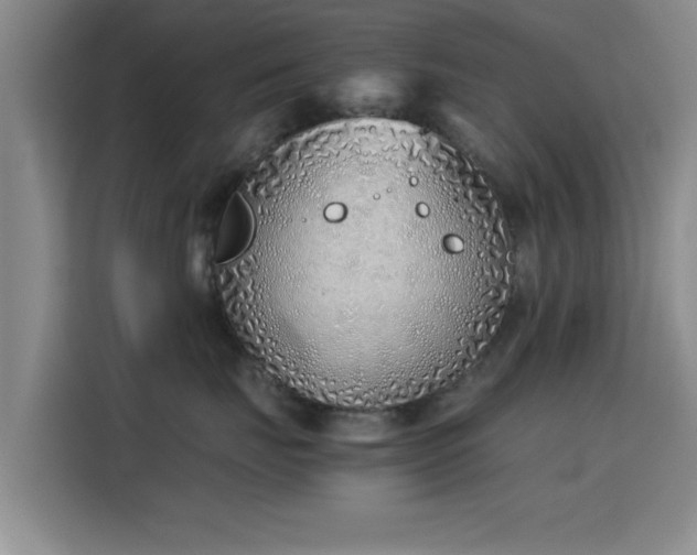 X0000115820671200911201446