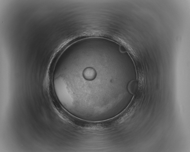 X0000115820674200911201445