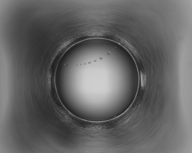 X0000115820675200911201445