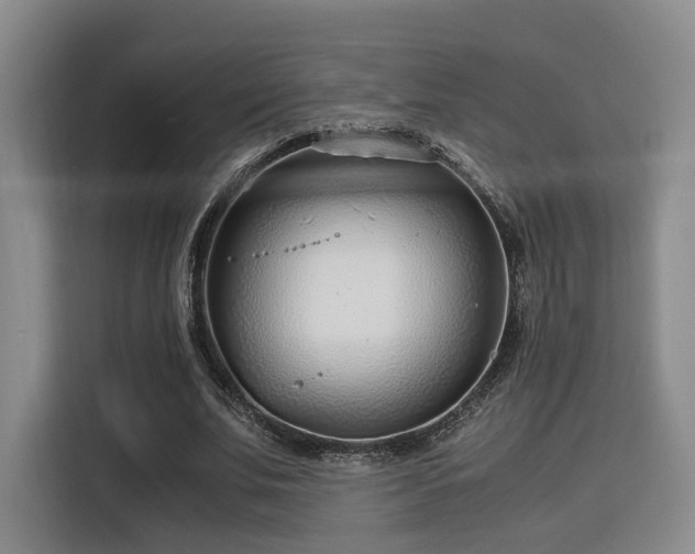 X0000115820679200911201445