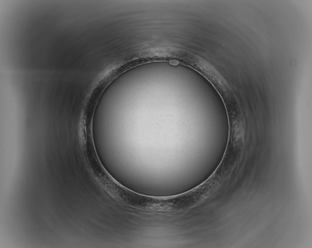 X0000115820680200911201445