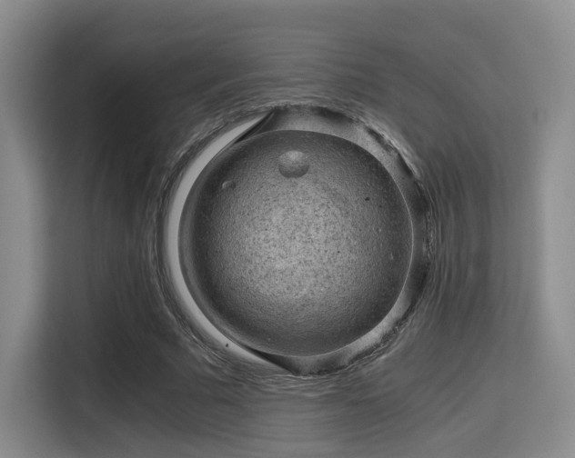 X0000115820681200911201445