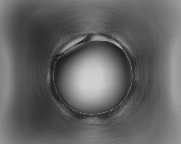 X0000115820685200911201445