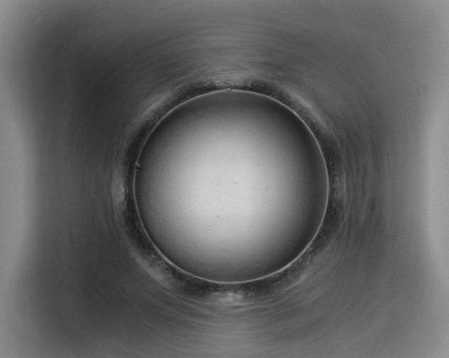 X0000115820687200911201445