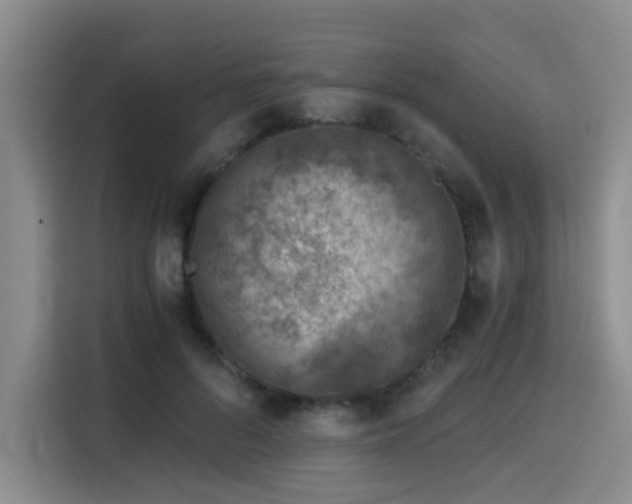 X0000115820696200911201445