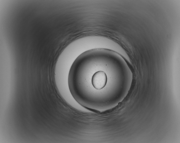 X0000115820697200911201445