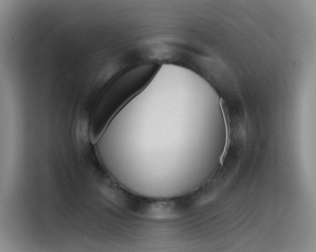 X0000115820700200911201445