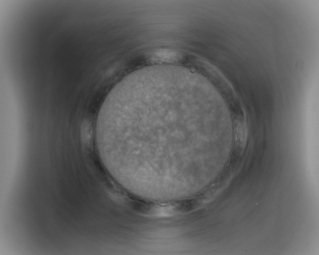 X0000115820701200911201445