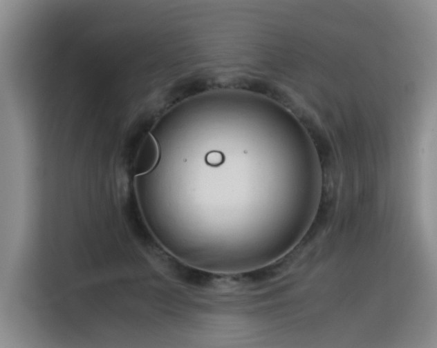 X0000115820703200911201445