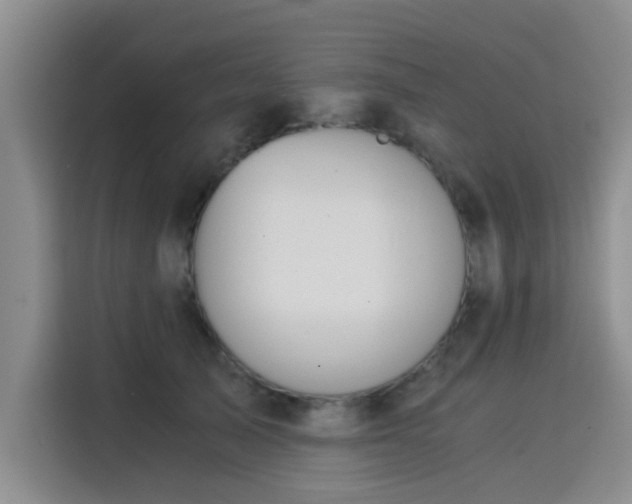 X0000115820705200911201445