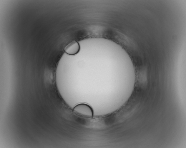 X0000115820709200911201445