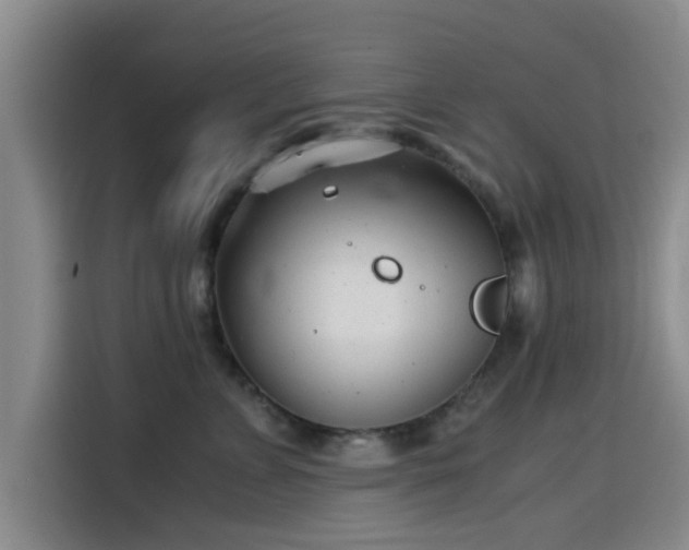 X0000115820715200911201445