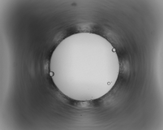 X0000115820717200911201445