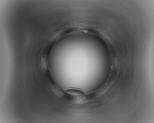 X0000115820719200911201445