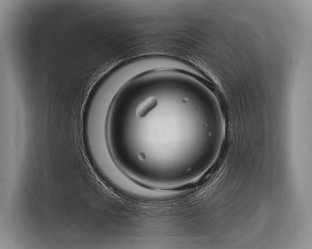 X0000115820721200911201444