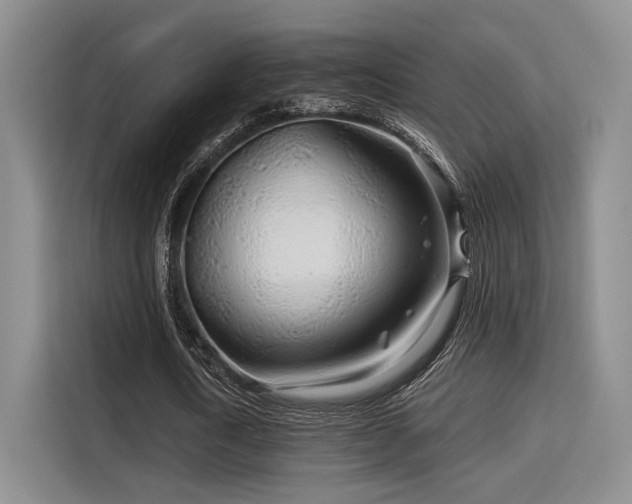 X0000115820722200911201444