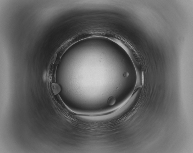 X0000115820723200911201444