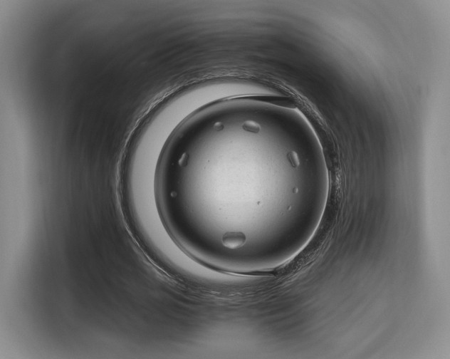 X0000115820725200911201444