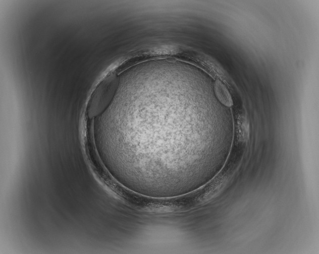 X0000115820726200911201444