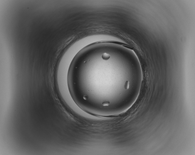 X0000115820729200911201444