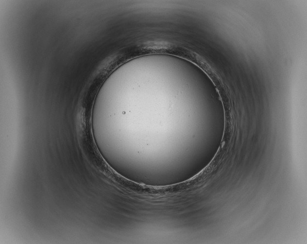 X0000115820731200911201444