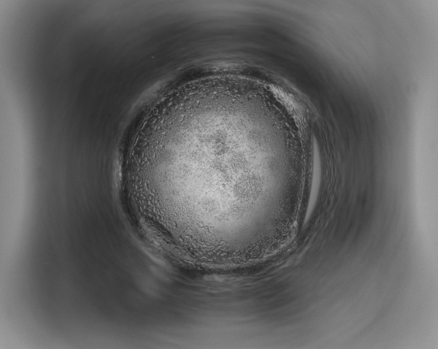 X0000115820733200911201444