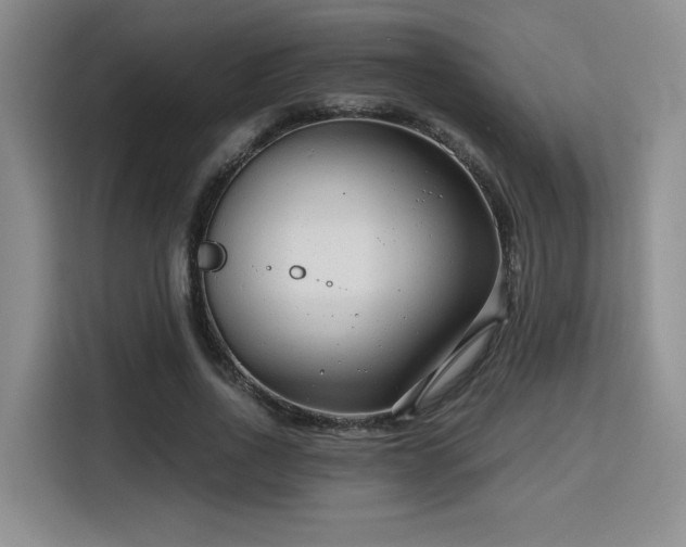 X0000115820734200911201444