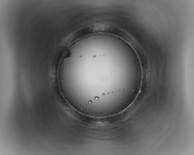 X0000115820737200911201444