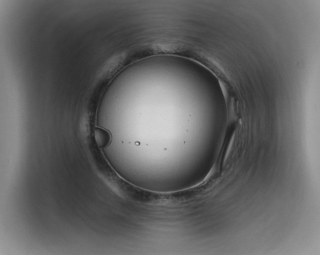 X0000115820738200911201444