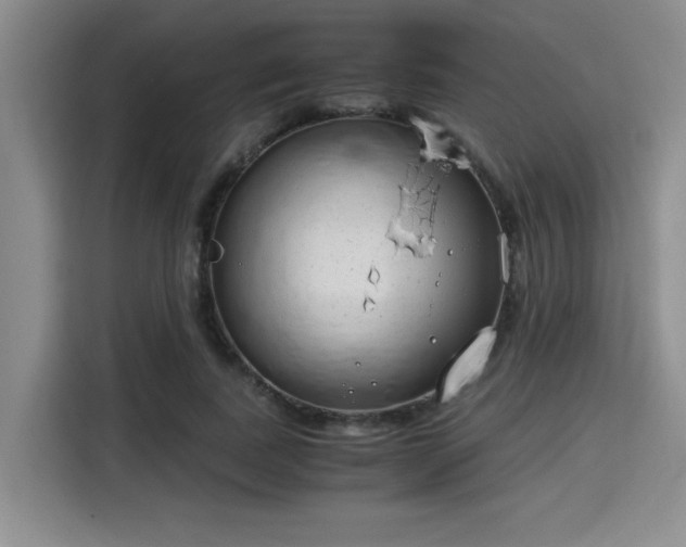 X0000115820739200911201444