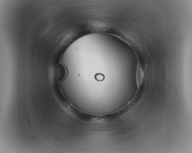 X0000115820742200911201444