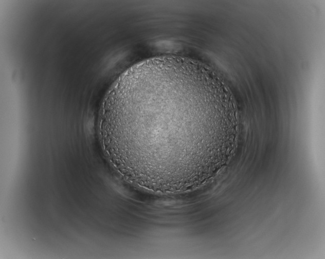 X0000115820745200911201445