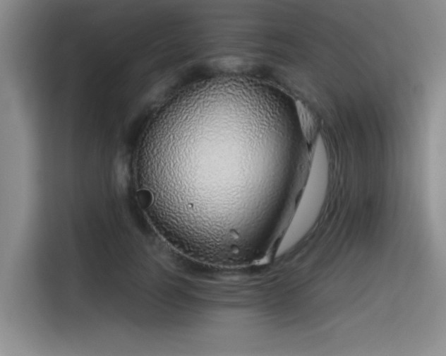 X0000115820746200911201445