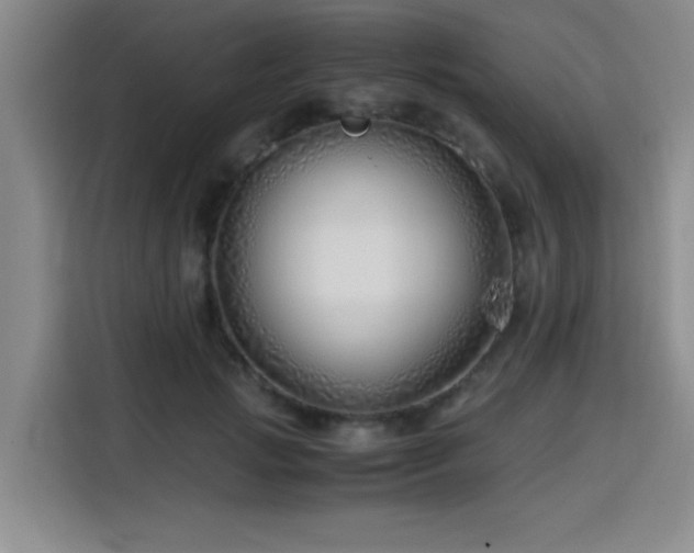 X0000115820749200911201445