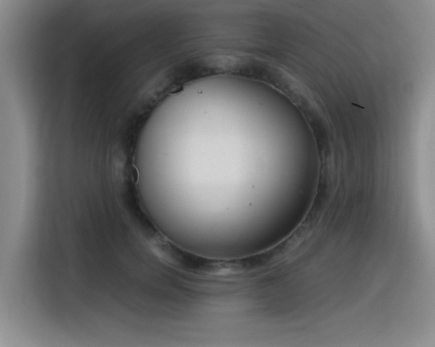 X0000115820750200911201445