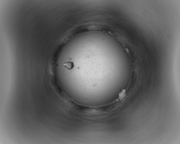 X0000115820755200911201445