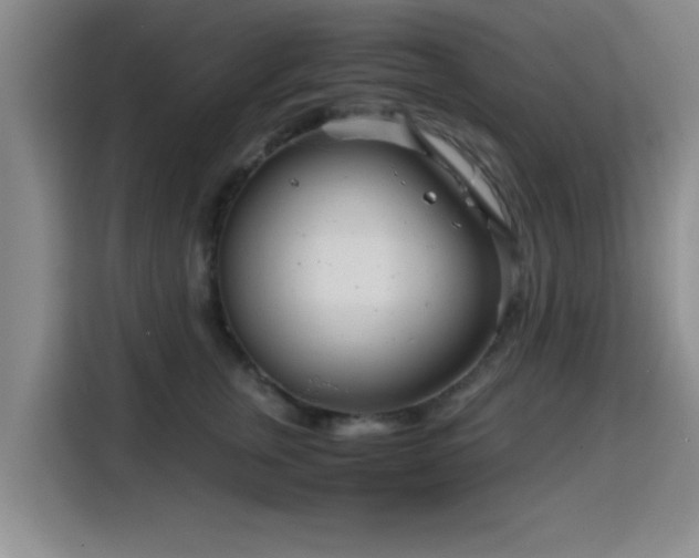 X0000115820759200911201445