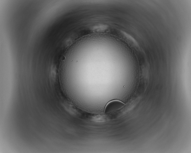 X0000115820761200911201445